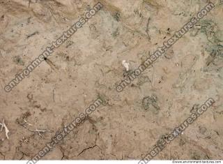 photo texture of soil mud